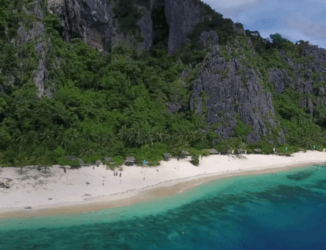 Calauit Safari Tour C